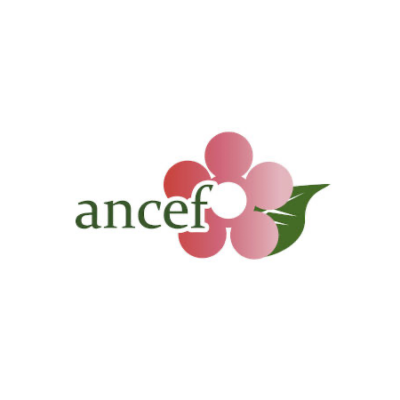 ancef