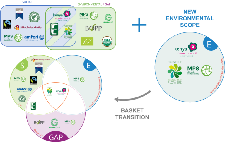 FSI Basket of Standards: new Environmental scope – FSI 2025